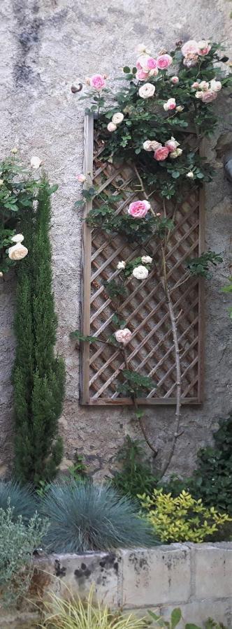 Hotel De Biencourt Azay-le-Rideau Exteriér fotografie